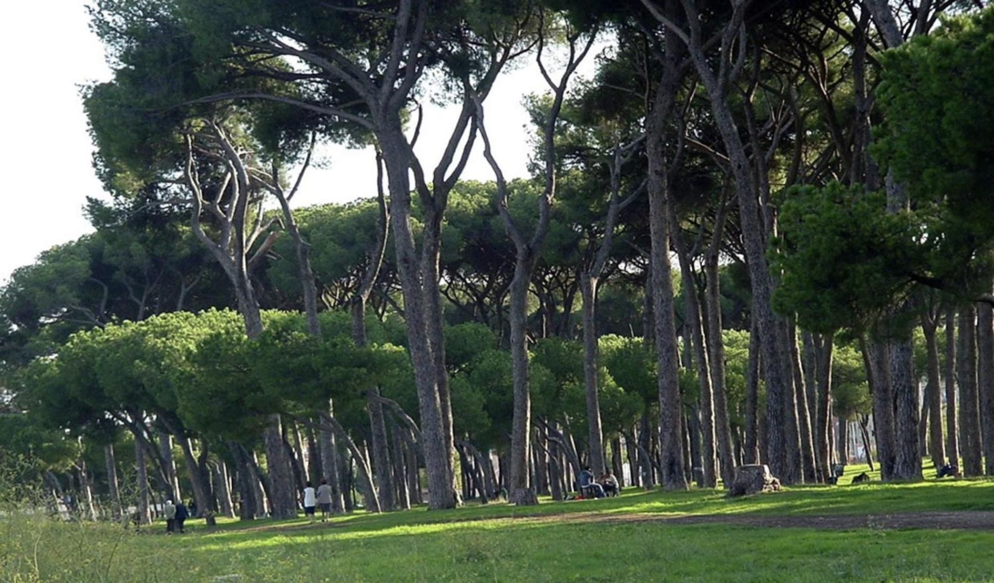 Piuma Celeste A Due Passi Dal Mare E Dal Centro Storico Lido di Ostia Dış mekan fotoğraf