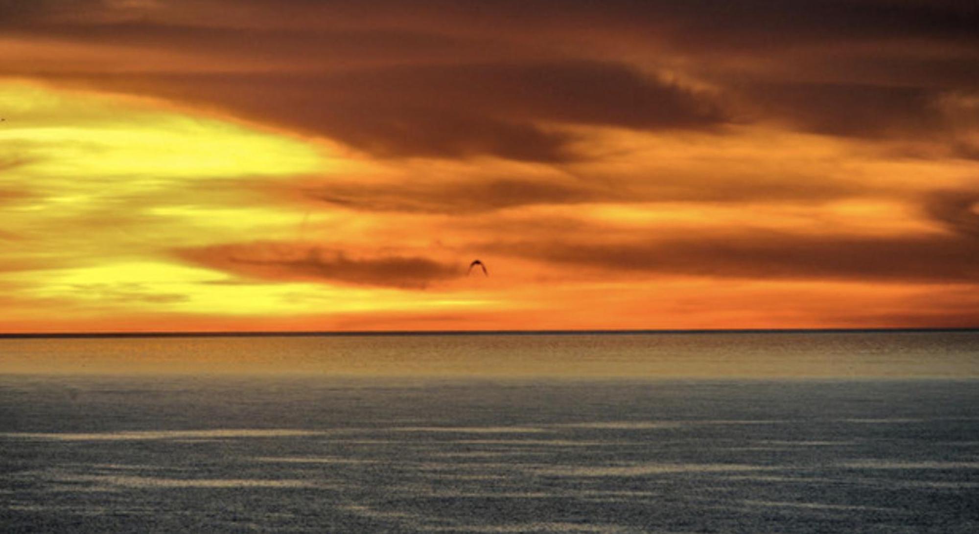 Piuma Celeste A Due Passi Dal Mare E Dal Centro Storico Lido di Ostia Dış mekan fotoğraf
